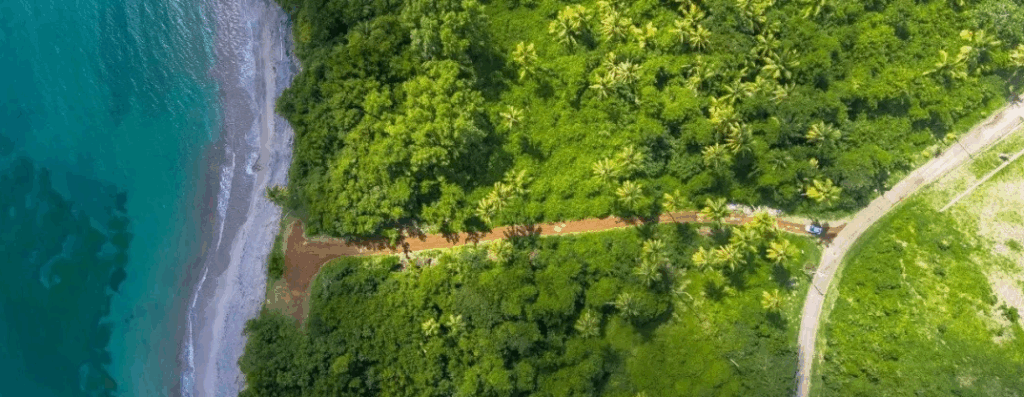 SDA Invited to Speak at Asia Pacific Supply Chain Sustainability Summit 2025 in Singapore, Collaborating on a Green Future!